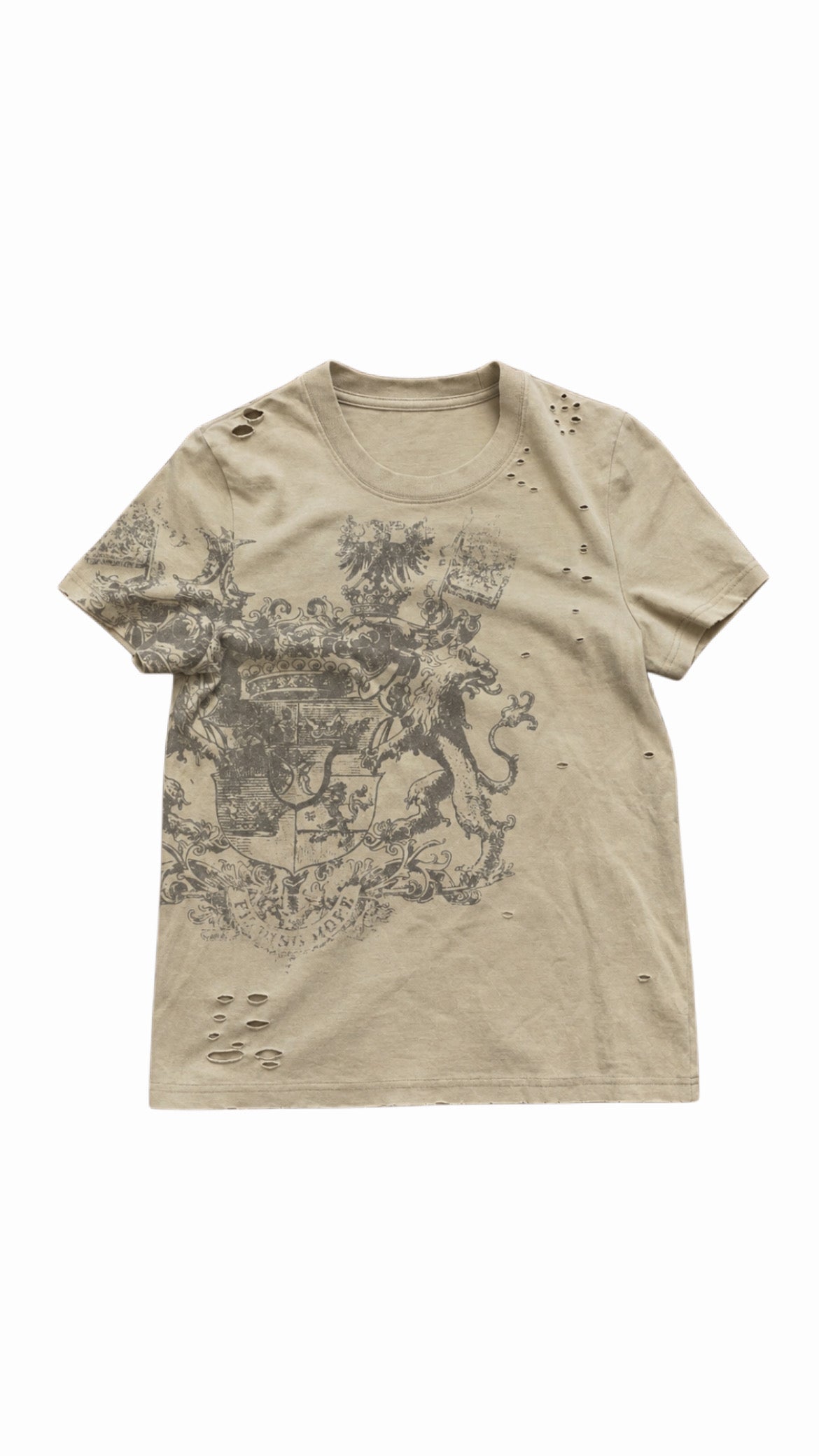 “University” Tshirt